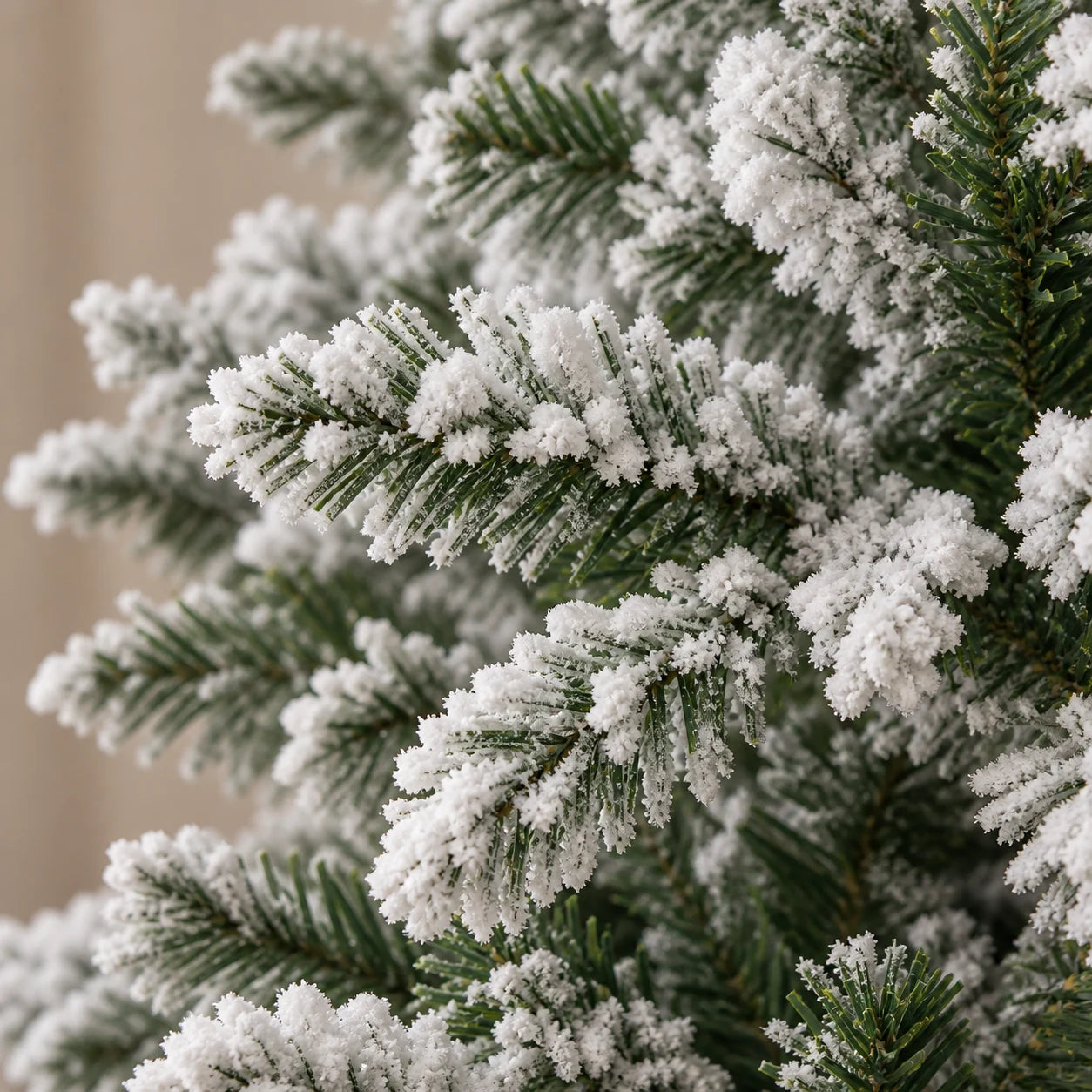 Détail du sapin Belledonne