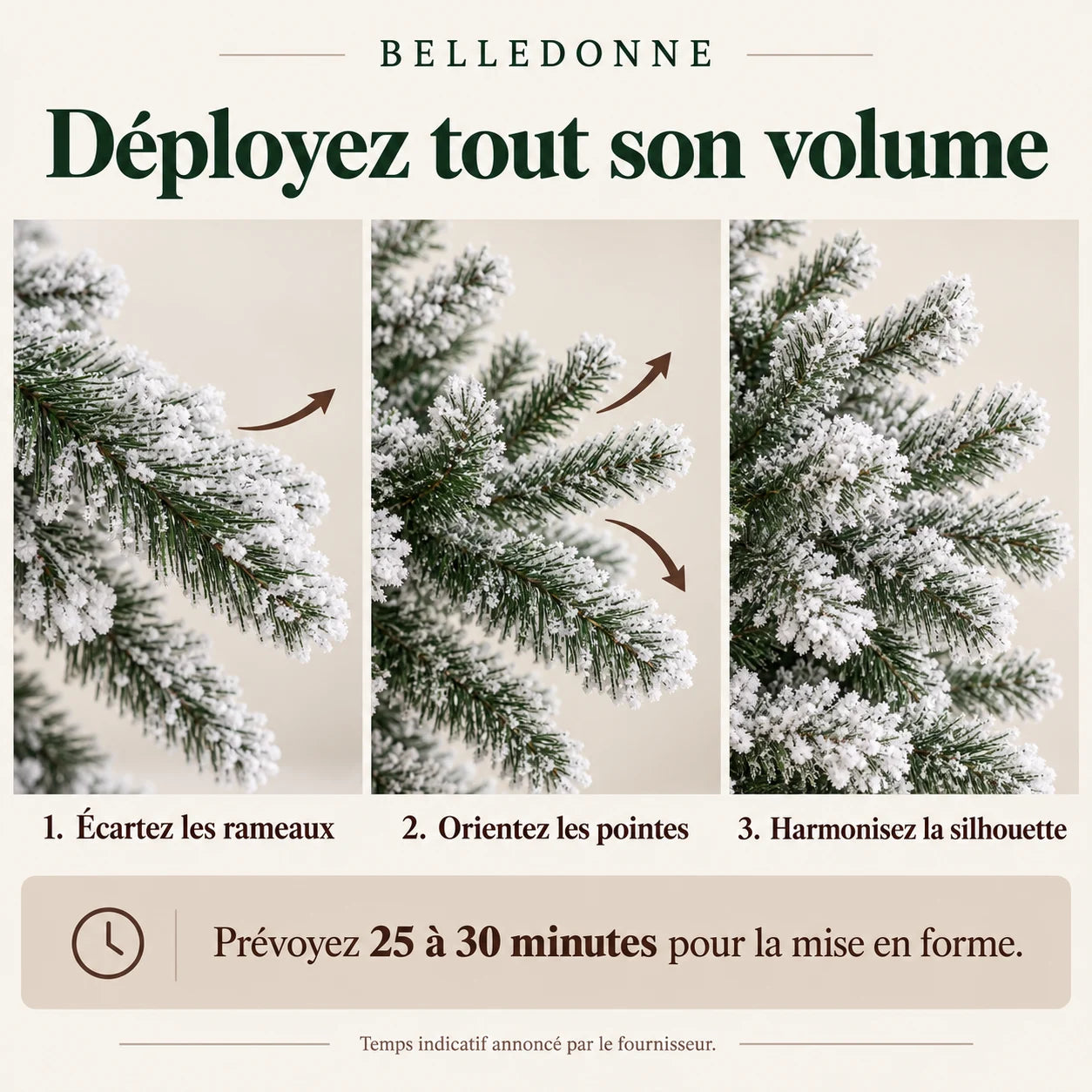 Fiche illustrée Belledonne 7