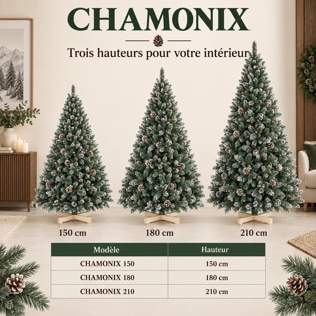 Fiche illustrée Chamonix 5