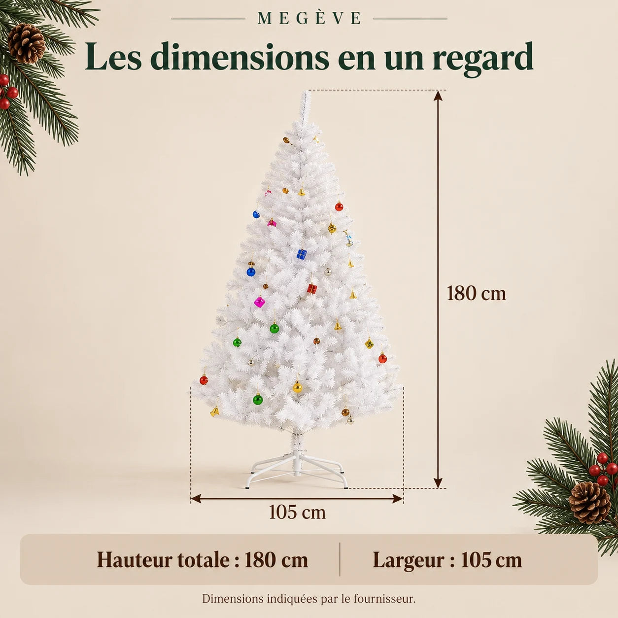 Fiche illustrée Megève 5