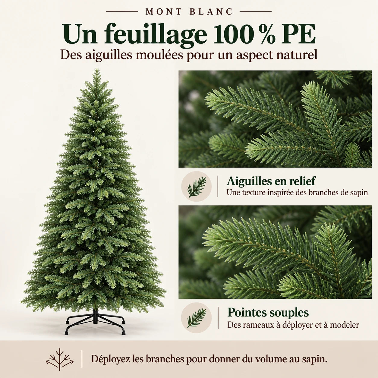 Fiche illustrée Mont-Blanc 5