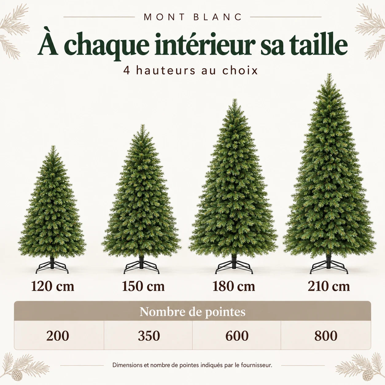Fiche illustrée Mont-Blanc 7